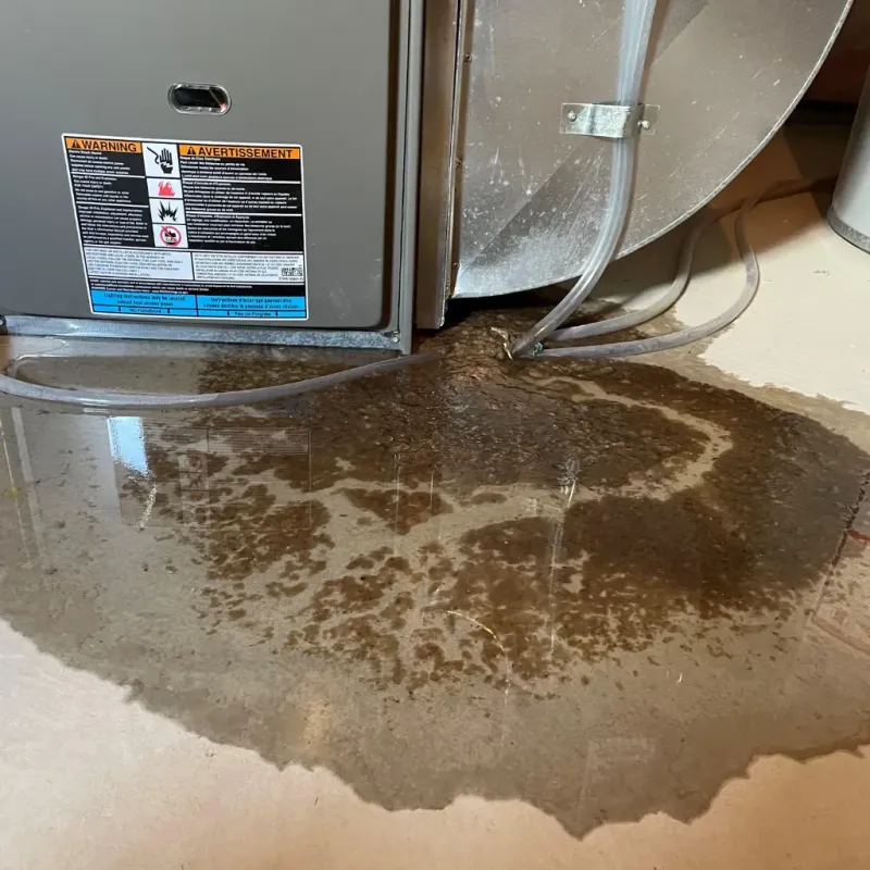 Appliance Leak Cleanup in Bellevue, PA