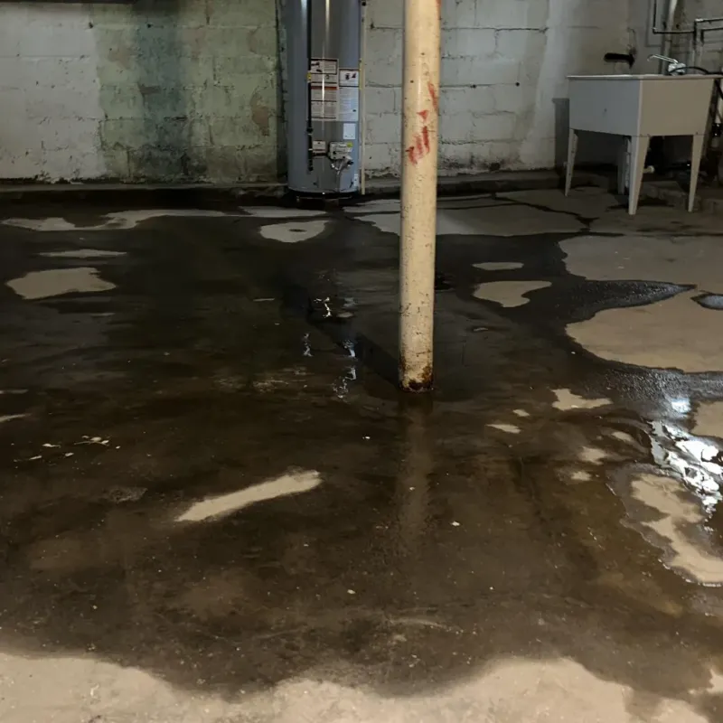 Emergency Water Extraction And Removal in Bellevue, PA